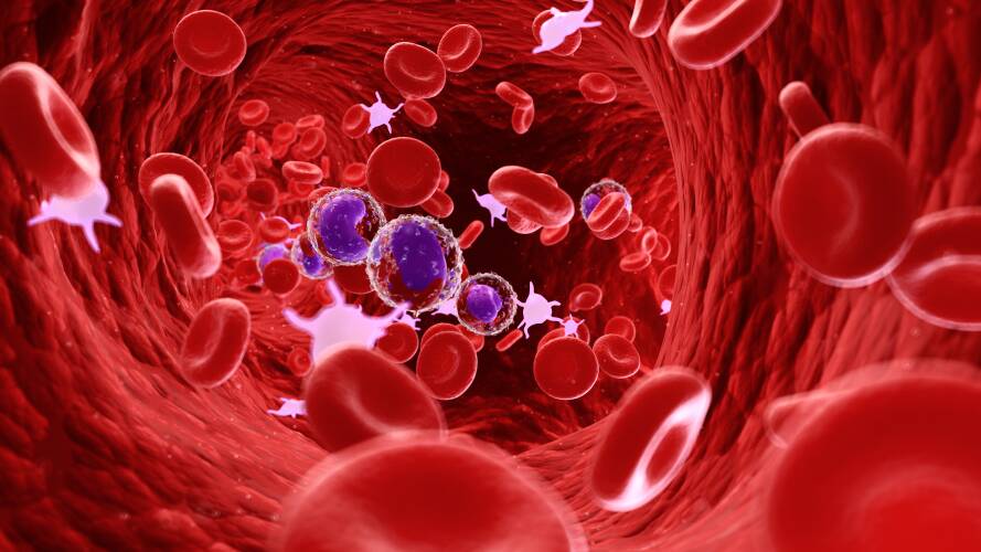 There are at least 33 different Blood Groups recorded on red cells and all of us have variations of these. Picture: Shutterstock