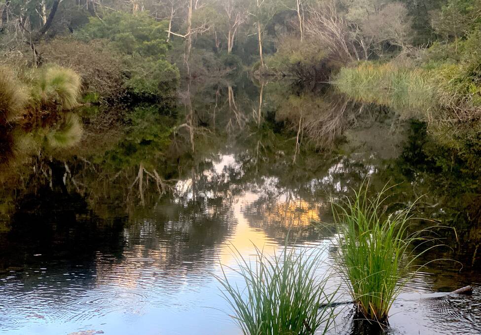 A waterhole on the Mongarlowe River, previously known as Little River. Picture by Tim the Yowie Man