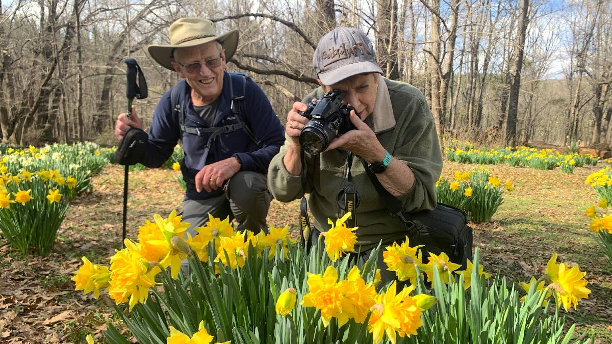 Bob and Rosemary Parker have been documenting the annual blooms at Sherwood for more than two decades. Picture by Tim the Yowie Man