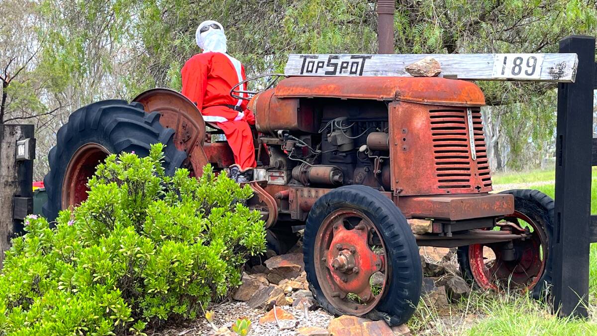 I have more faith in Rudolph and Co. pulling Santa's sleigh than this rusting David Brown tractor. Picture by Janis Norman