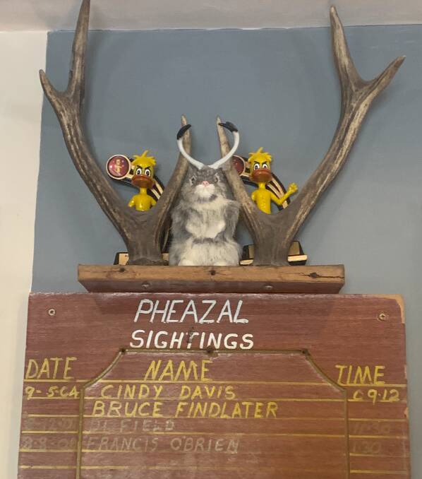 The Pheazel Sightings honour board in the Bowning Pub. Picture by Tim the Yowie Man