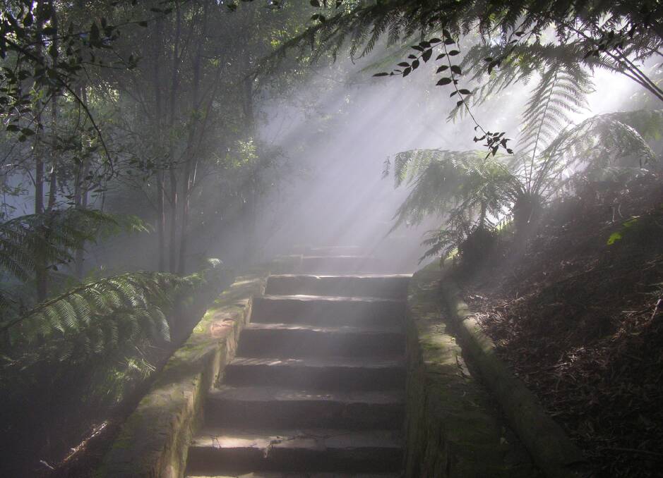 The Gardens' mist jets caused a stir when they were first installed. Picture: Australian National Botanic Gardens