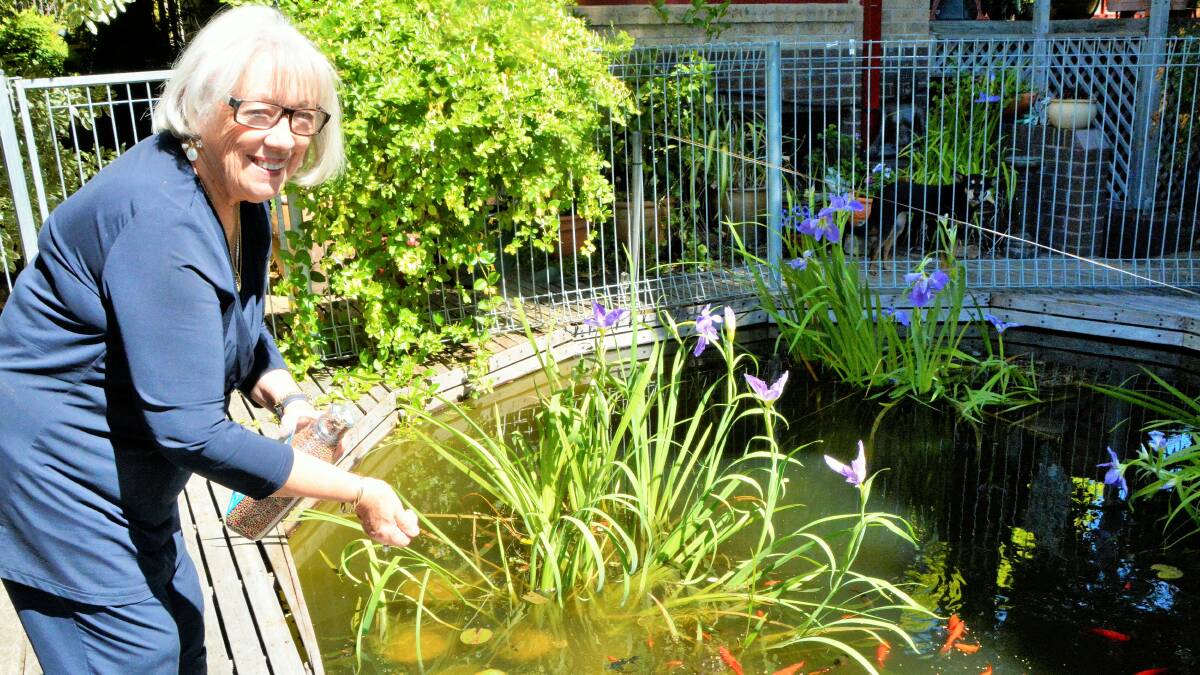 Denise Stephenson of Latham feeds fish in her pool-turned-pond. Picture: Tim the Yowie Man