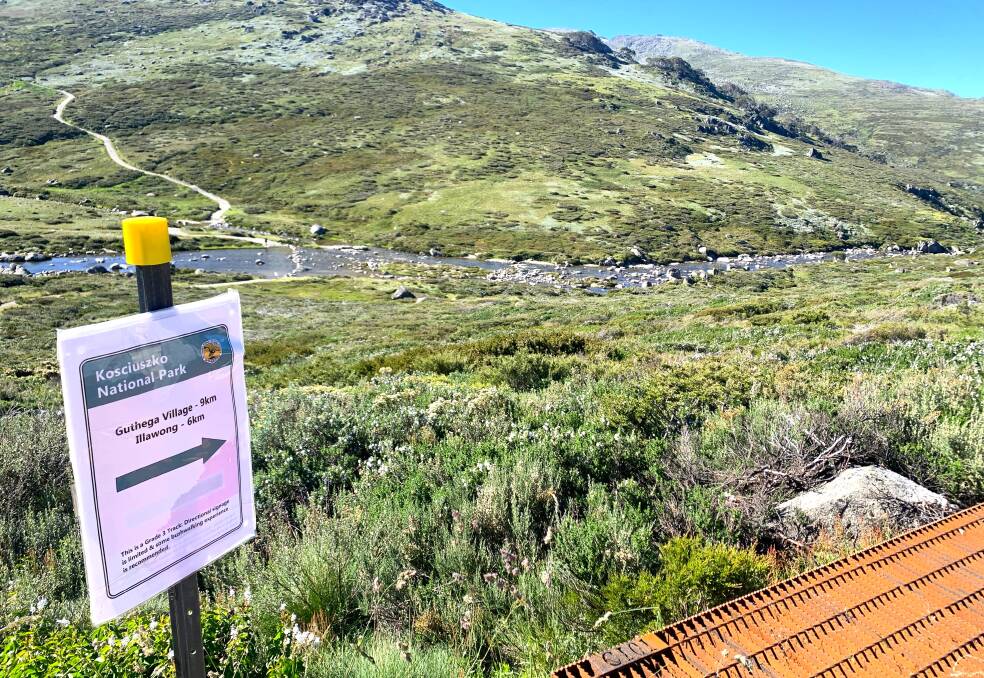 Charlotte Pass to Guthega: new track a walk on the wild side
