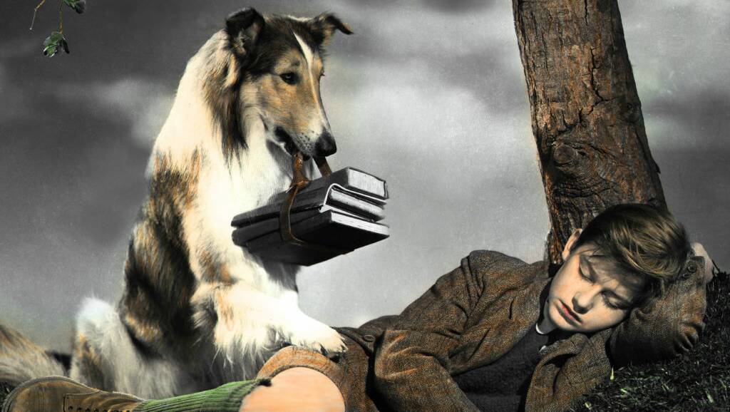 A scene from the original Lassie Come Home. Picture: Getty Images