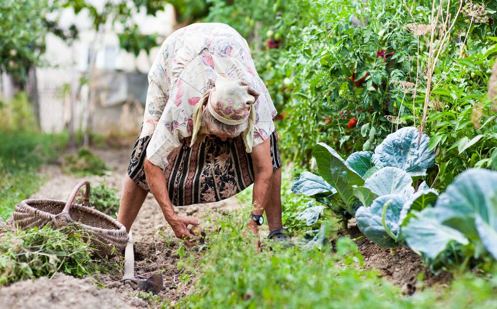 When it comes to gardening, with age comes wisdom. Picture: Shutterstock