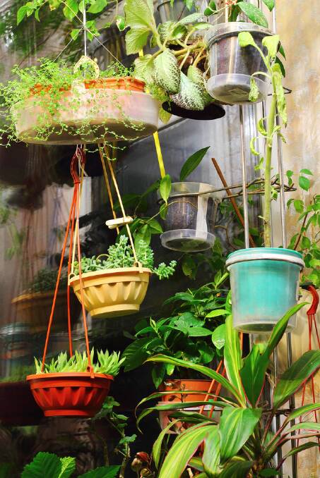 Renting needn't mean you forgo a garden. Just make it portable. Picture: Shutterstock
