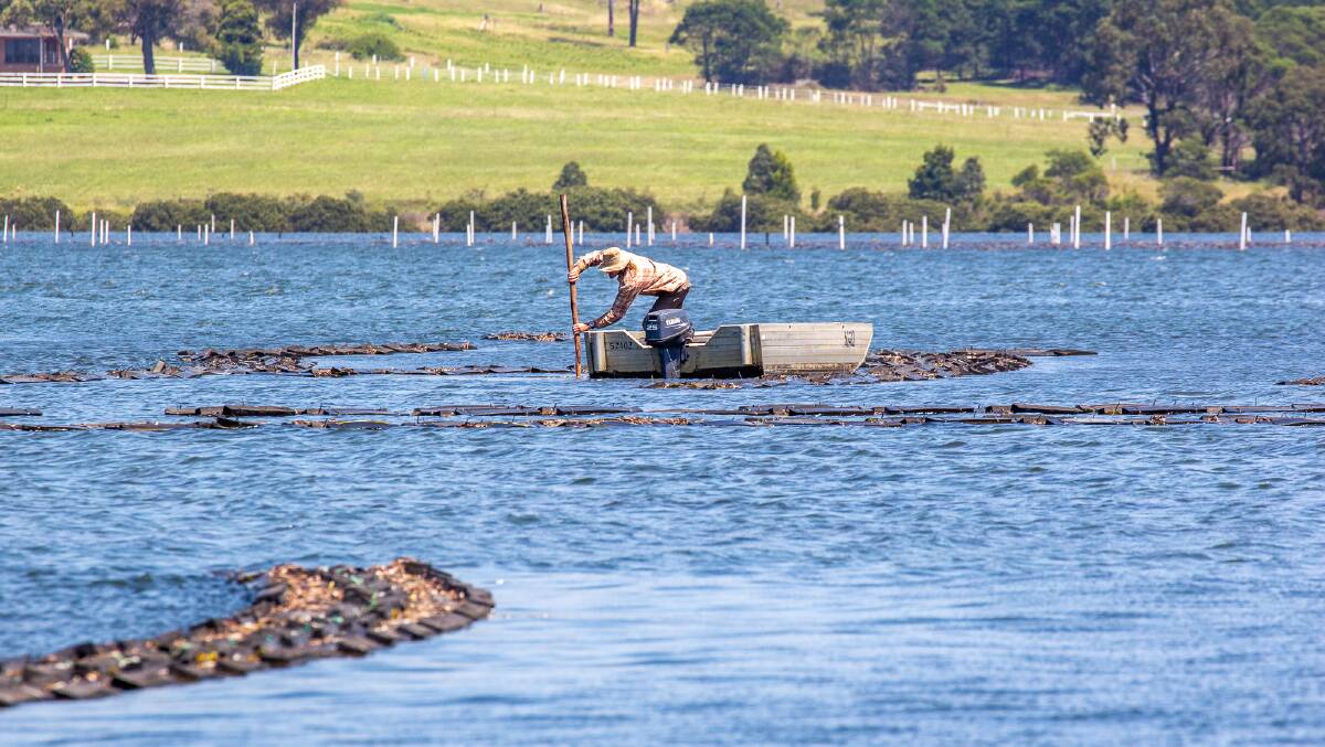 Oyster farms near Merimbula on the South Coast of NSW. Picture: Michael Turtle)
