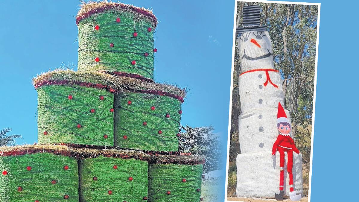 A colourful haybale stack near Michelago; Frosty seeks shade near Adelong. Pictures by Sarah Handley and Pam Healey