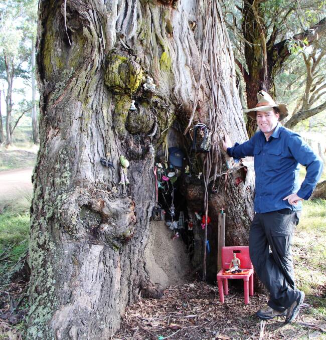 Tim at the Reidsdale Fairy Tree in 2012. Picture by Dave Moore
