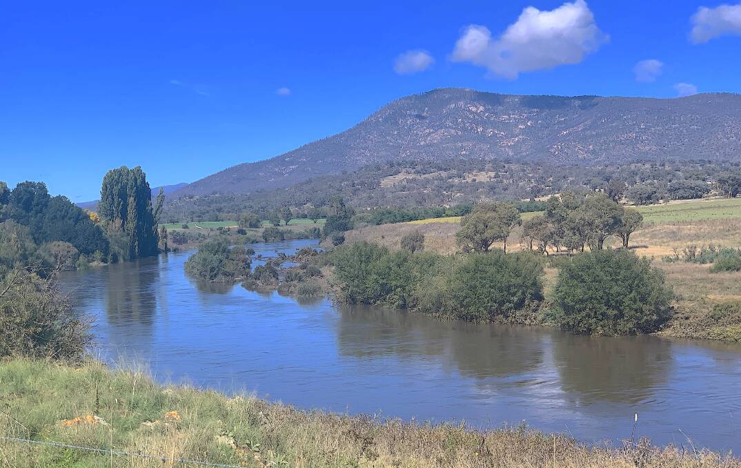 Looking upstream along the Murrumbidgee River from Bluebeards Hut towards the hulking Mt Tennen. Picture: ACT Historic Places