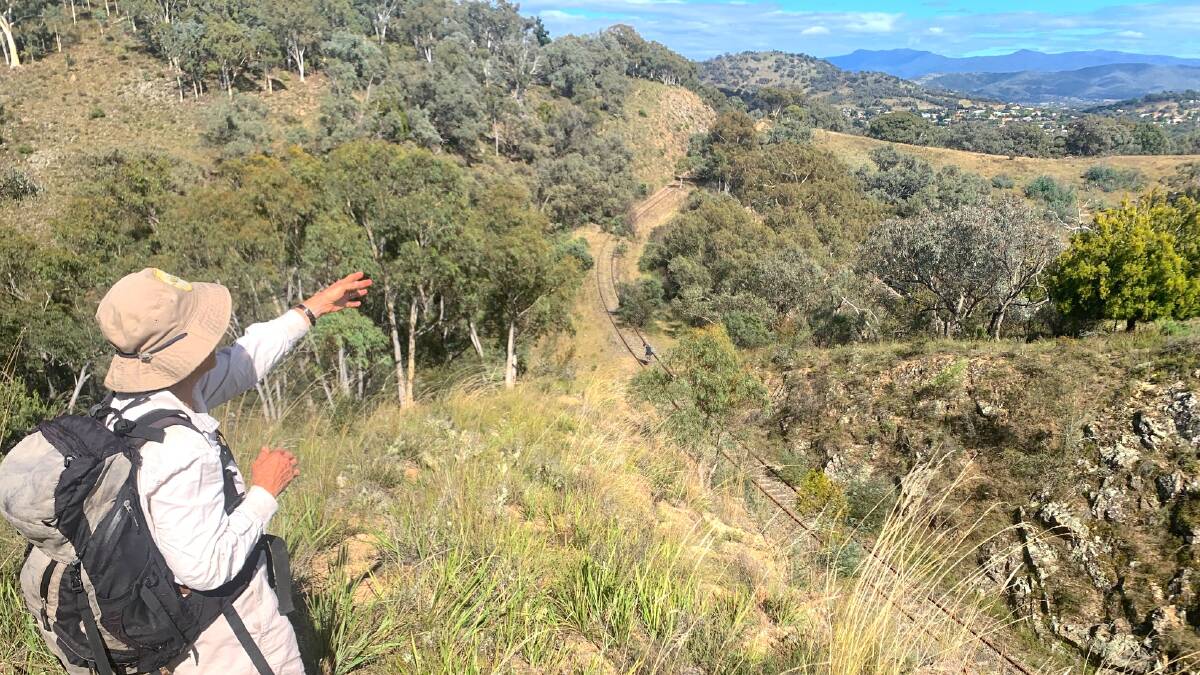 Jenny Horsfield looks beyond the railway line as it winds through McAlister's Cutting. You can see the suburbs of south Tuggeranong and beyond to the Tidbinbilla Range on the horizon. Picture: Tim the Yowie Man