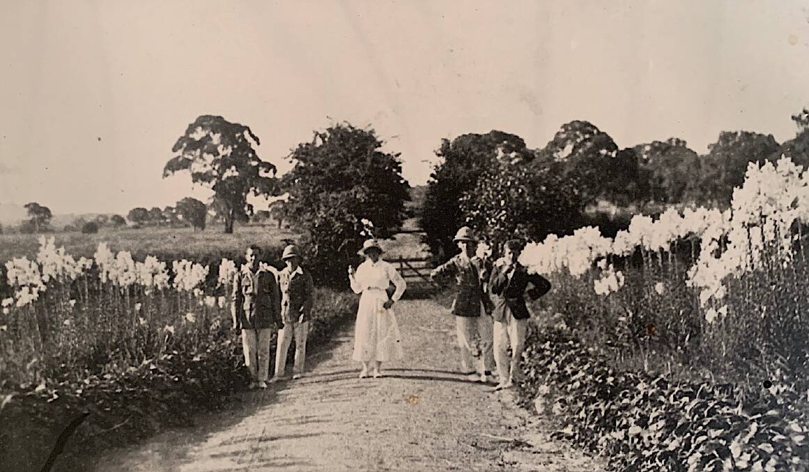 Lanyon's Lily walk, pictured in 1915, which led from the guest wing of Lanyon Homestead. Picture: Cunningham Collection