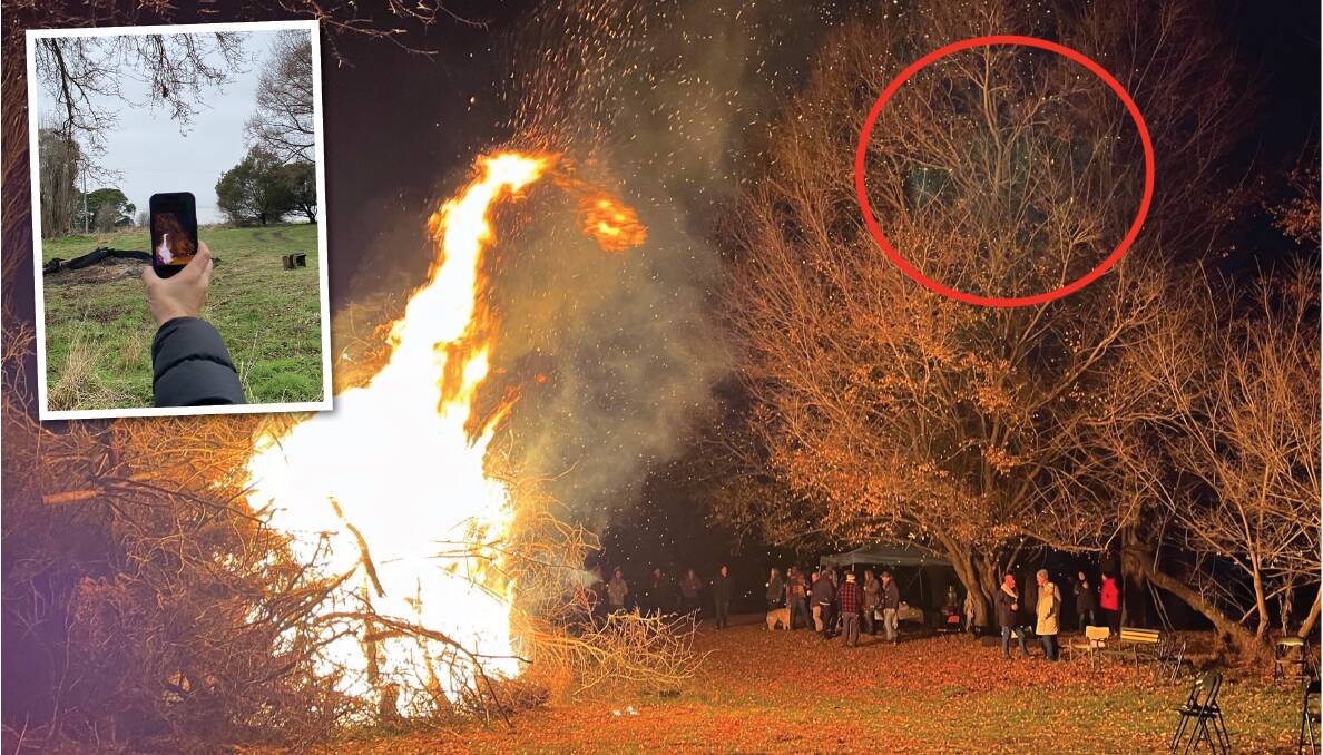 Scott Mitchell holds his phone (inset) at the location where the green blob was first spotted in these elms before moving towards the bonfire. Pictures by Tim the Yowie Man, Scott Mitchell