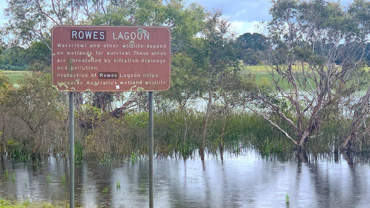 Rowes Lagoon is full once again. Picture: Tim the Yowie Man