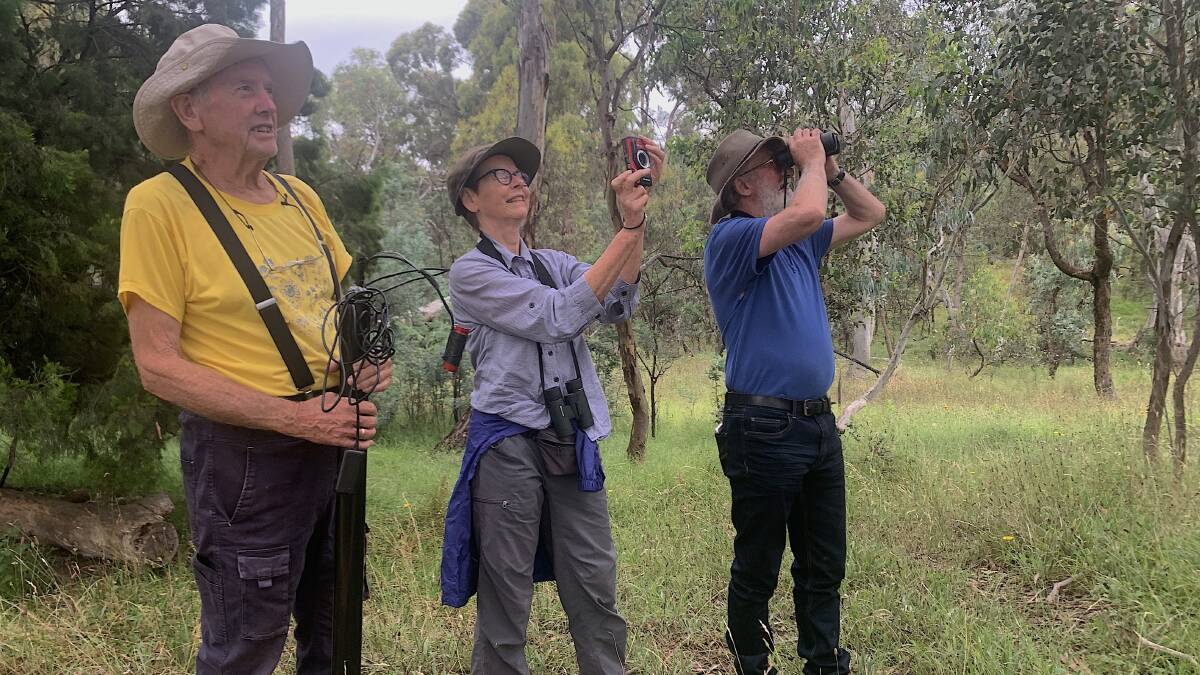 Chris Davey, Cath Busby, and Michael Mulvaney observe gang-gangs in the Aranda bushlands. Picture: Tim the Yowie Man