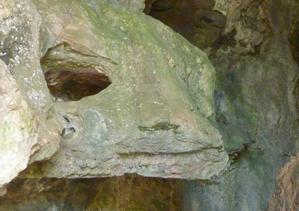 A rock resembling the head of a serpent guards the entrance of a small cave at London Bridge. Picture by Tim the Yowie Man