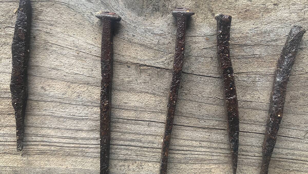 Hand-made nails found beneath the floorboards of the old gunsmith in Braidwood. Picture by Tim the Yowie Man