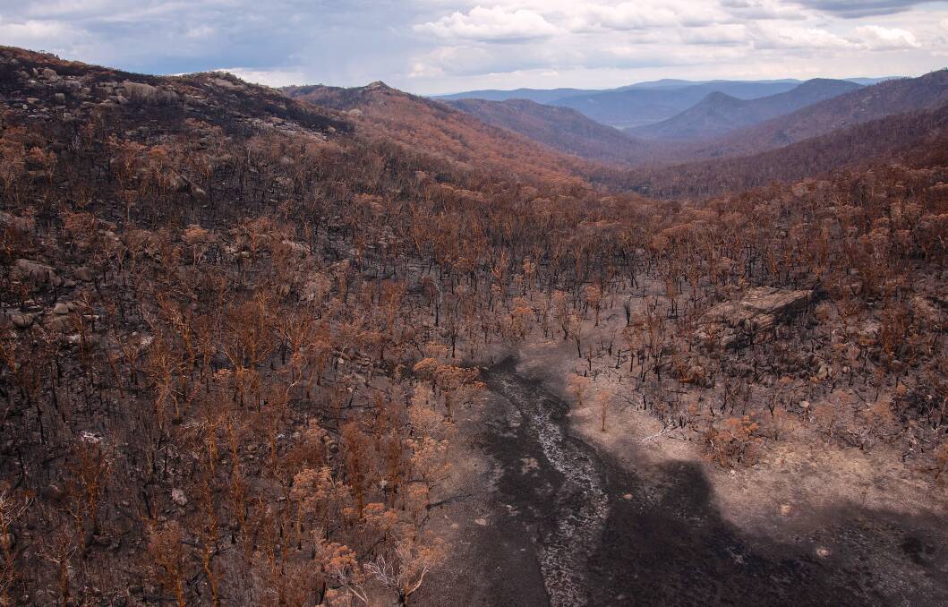 Vast swathes of Namadgi National Park were burnt in last summer's fires. Picture: Dr Marta Yebra, ANU