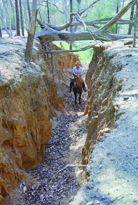 NPWS field officer George Freebody in a deeply eroded gully in KNP in 1982. Picture: Graeme L Worboys