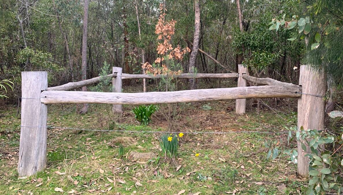 The final resting place of the first European settlers at Sherwood - Henry and Eliza Phillips and their infant son. Picture: Tim the Yowie Man