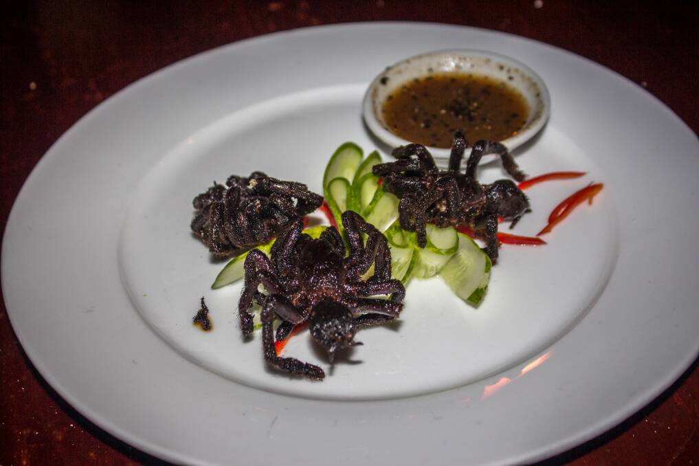 You can even get fried tarantulas at more upmarket restaurants in Cambodia. Pictures: Michael Turtle
