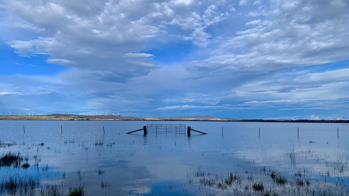 Flooded paddocks at Lake George. Picture by Tim the Yowie Man
