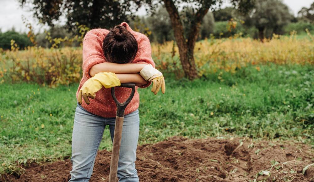 Gardening is a bit like climbing a mountain... tough but rewarding. Picture: Shutterstock