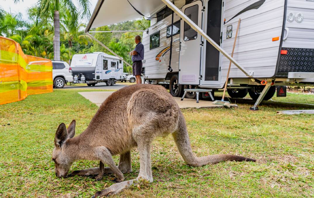 The increasing popularity of caravans and campervans is good news for domestic tourism. Picture: Michael Turtle 