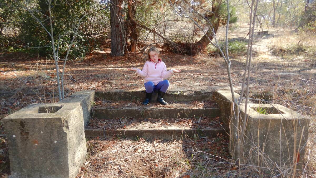 Tim's daughter Emily at the mystery stairs in 2018. Picture: Tim the Yowie Man