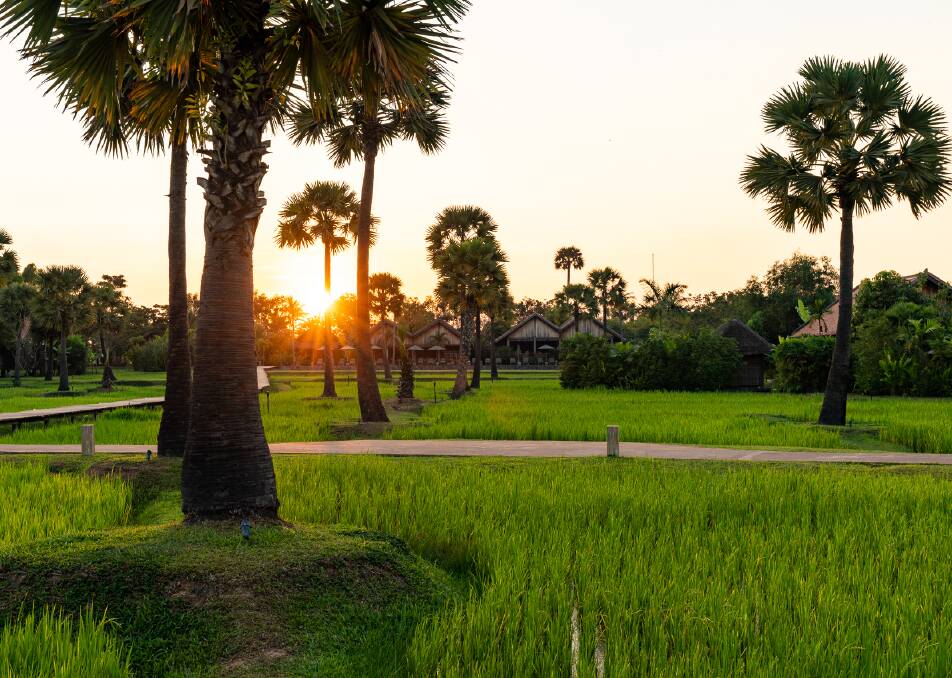 One of Siem Reap's boutique hotels, Phum Biatong, is surrounded by lush rice paddies. 