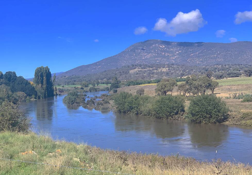 Looking upstream along the Murrumbidgee River from Lanyon's Bluebeards Hut towards the hulking Mt Tennent. Picture: ACT Historic Places