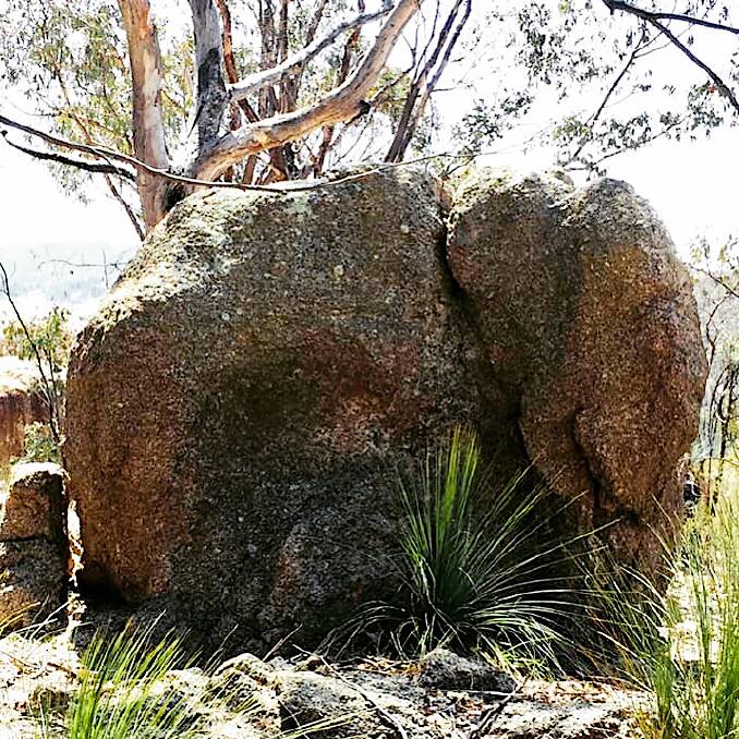 Can you 'see' this rocky elephant? Picture: Mich Allen