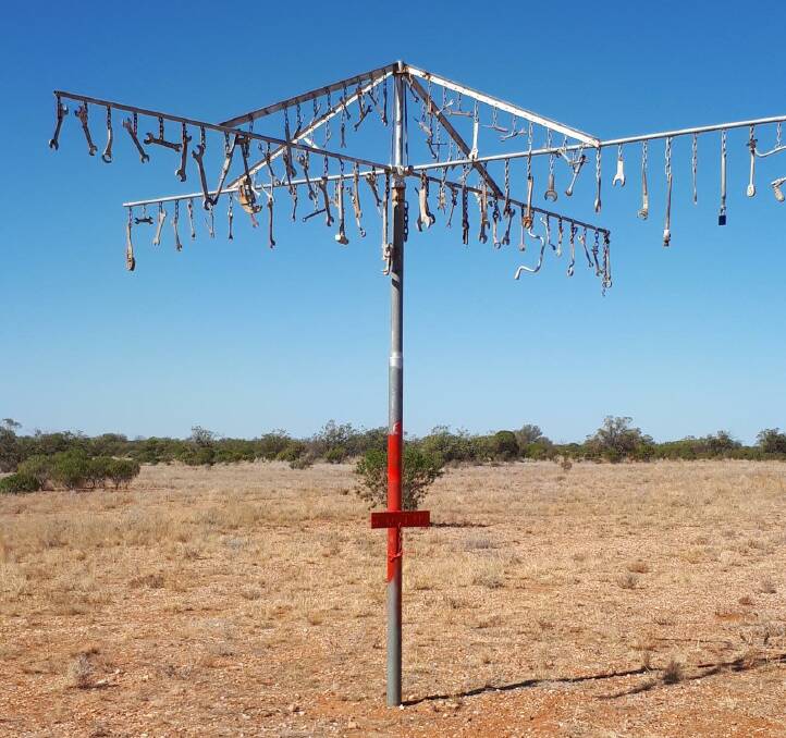 Tool tree in outback NSW. Picture by Maureen Marshall