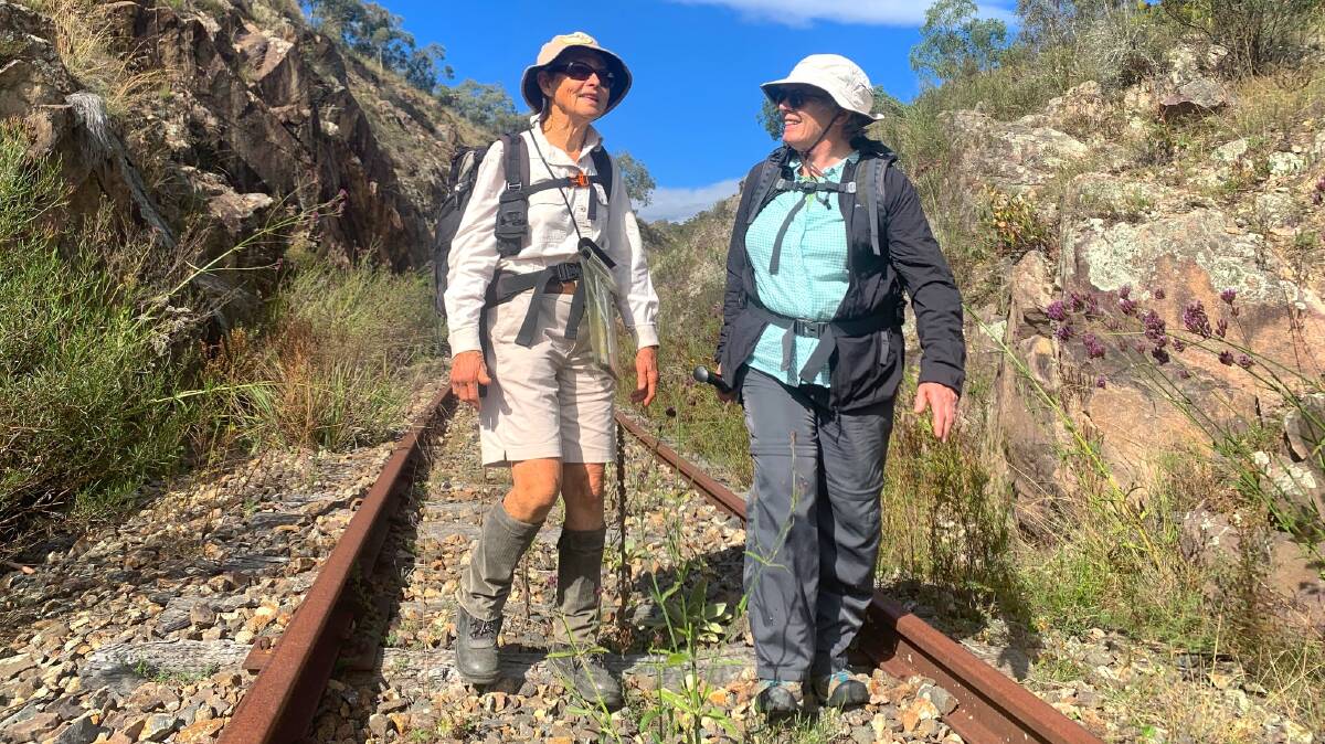 Jenny Horsfield and Annette Smith walk along the railway line near McAlister's Cutting. Picture: Tim the Yowie Man