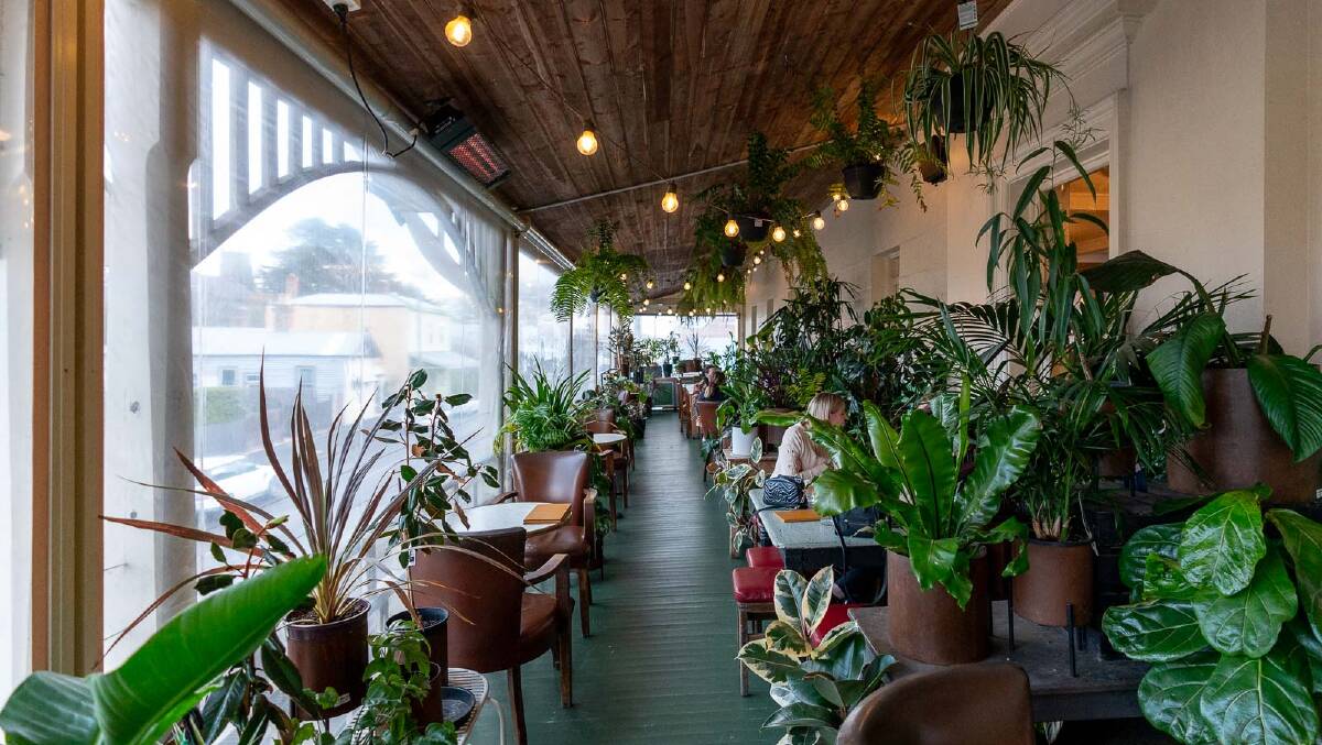 The verandah of Botanik, where the botanical theme extends to the plant
collection. Picture by Michael Turtle