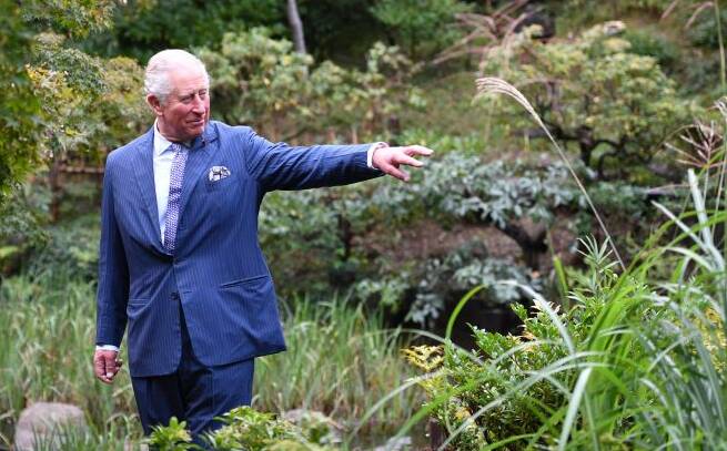 Prince Charles has long campaigned for green causes. Picture: Getty Images
