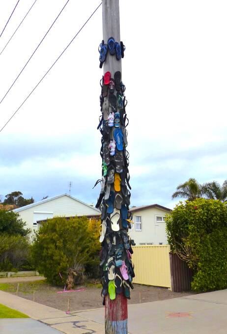 Tathra's much-loved thong tree. Picture supplied