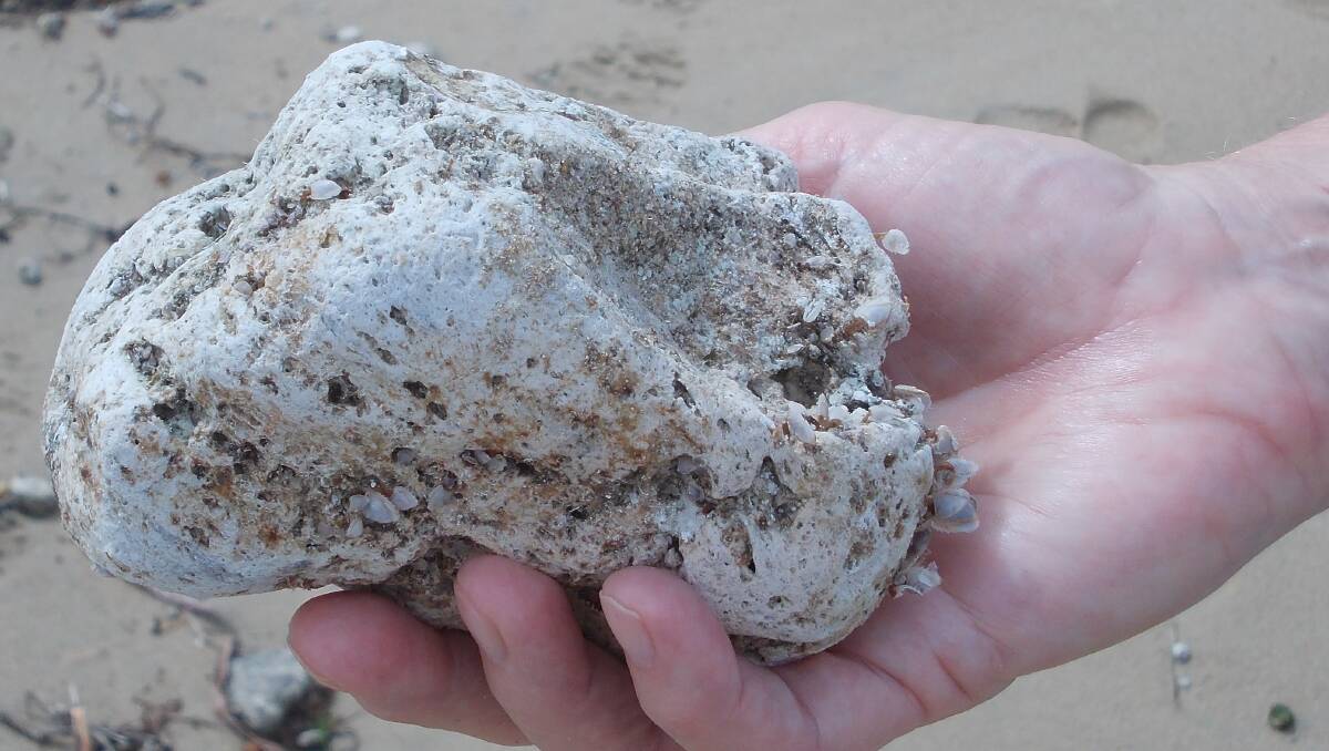 A pumice stone washed up on a South Coast beach in 2014. Picture: Timothy Walsh