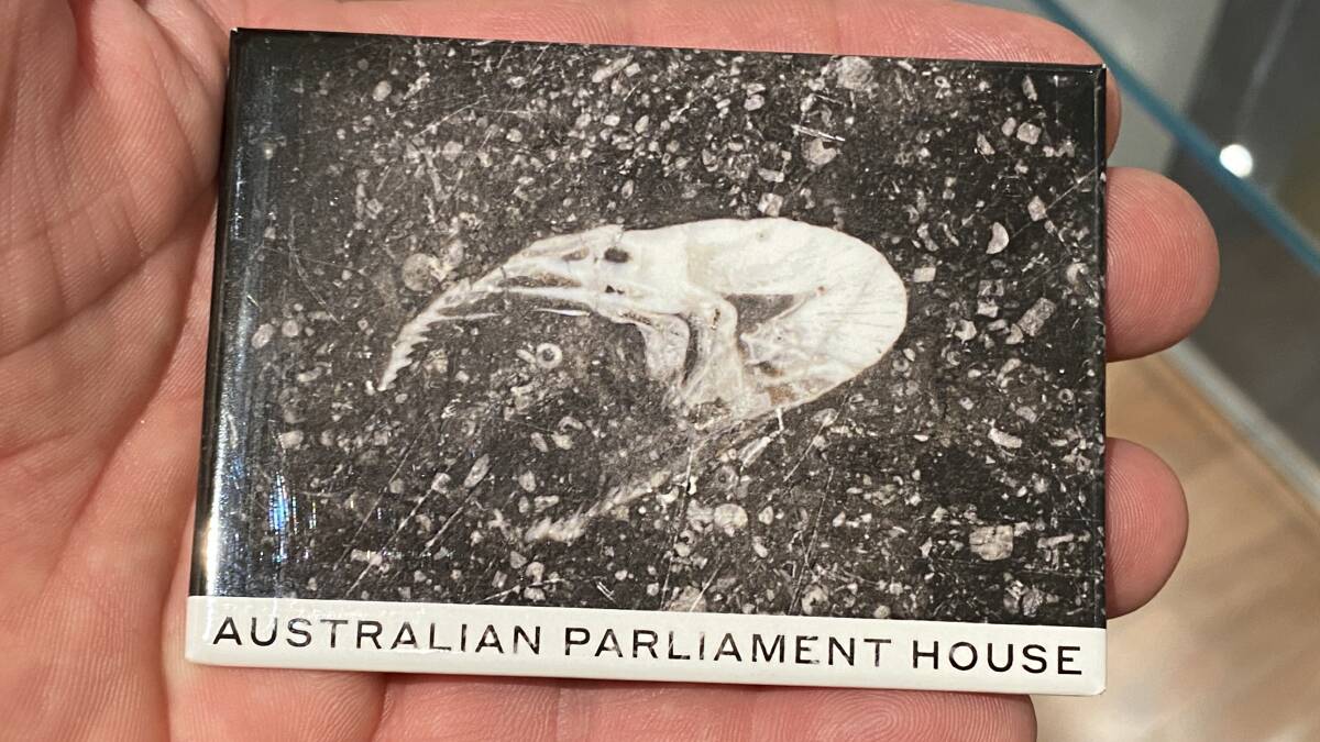 The Parliament House gift shop sells fridge magnets of the infamous fossil. Picture by Tim the Yowie Man