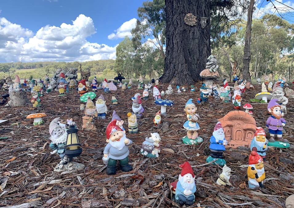 Rosewood's infamous gnome tree. Picture: Tim the Yowie Man