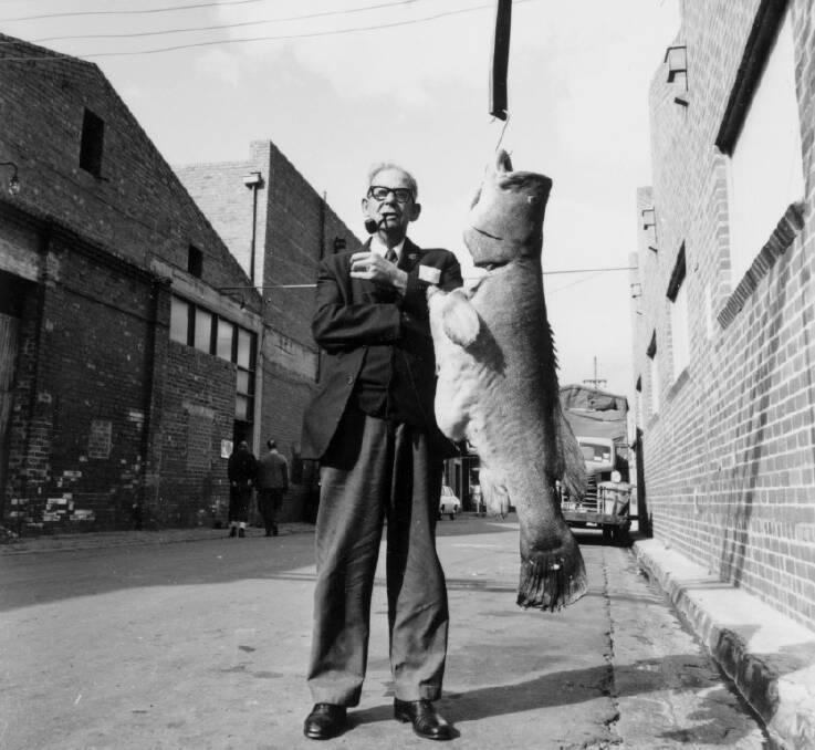 This 41-kilogram Murray cod was caught in the Darling River 1970. Picture: Terry Rowe, NLA