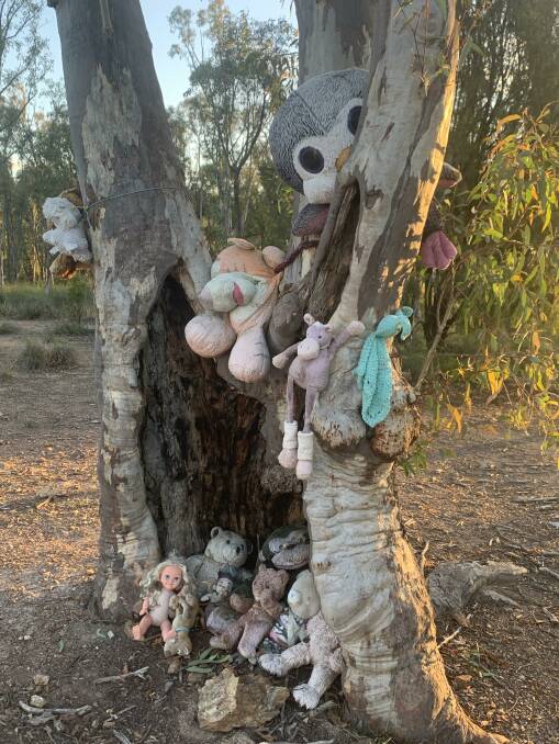 Soft toys in Aranda bushland. Picture: Tim the Yowie Man