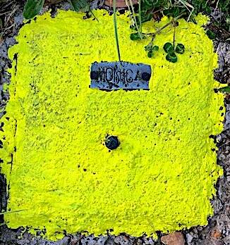 The survey mark in Wongoola Place Park, named after a surveyor's child. Picture: Tim the Yowie Man
