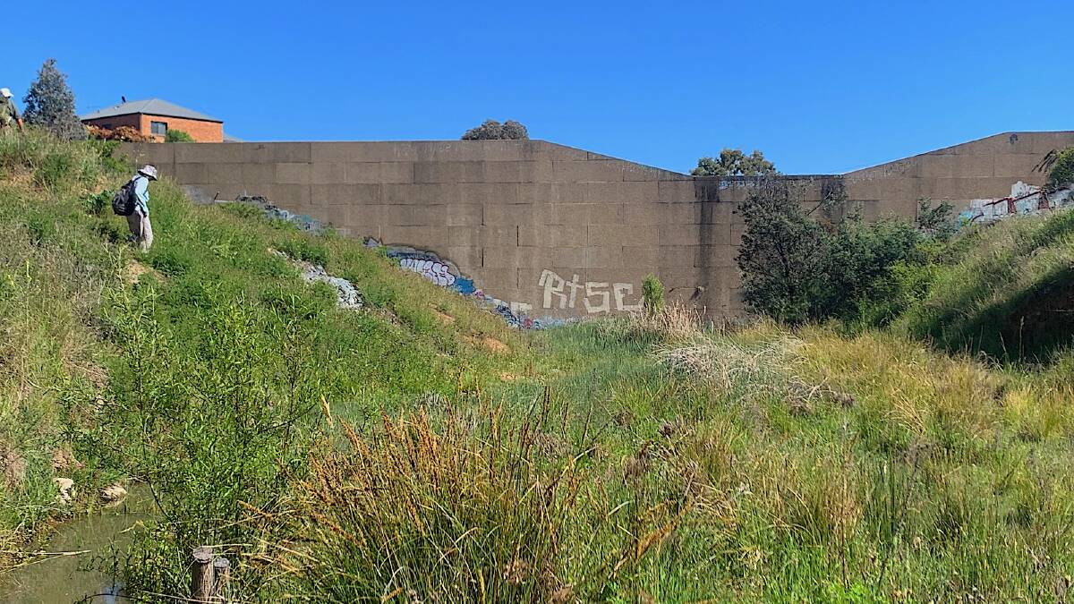 The concrete wall at the end of the gorge in Banks. Picture: Tim the Yowie Man