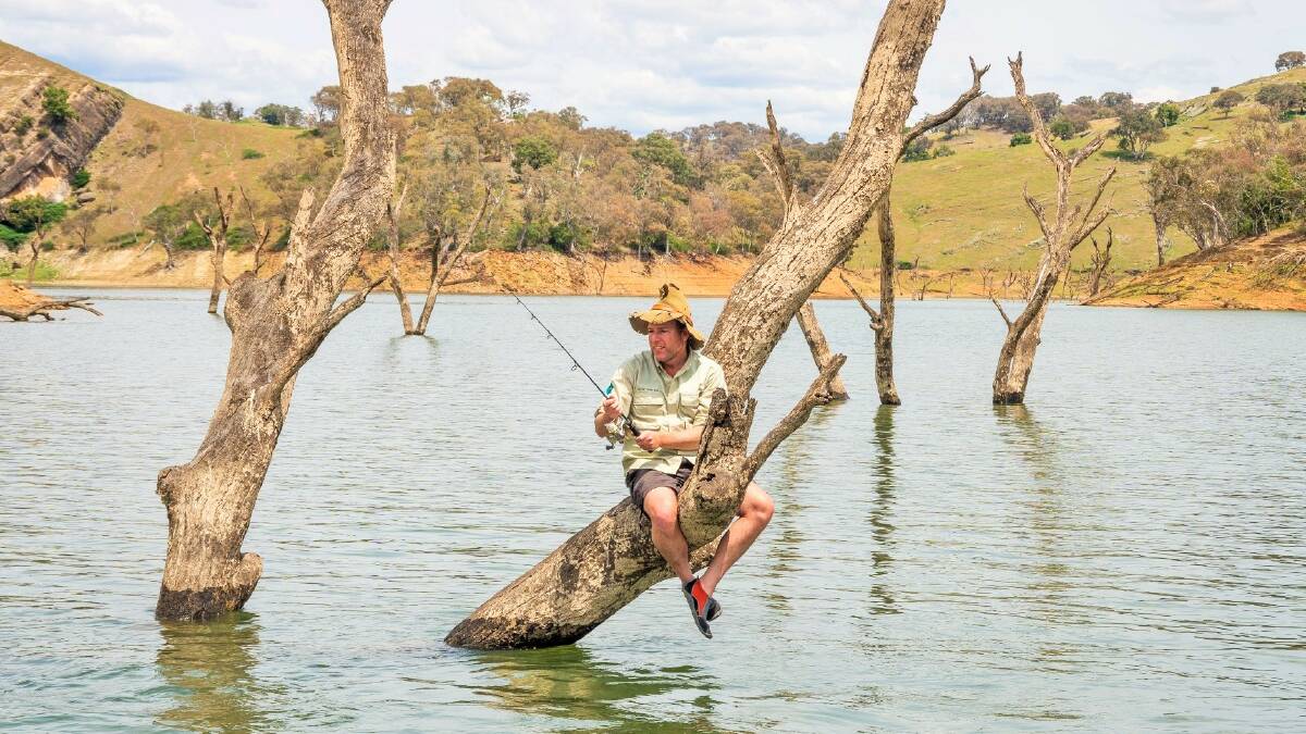 Fish aren't the only critters you can find in Burrinjuck Dam. Picture: Chris Blunt