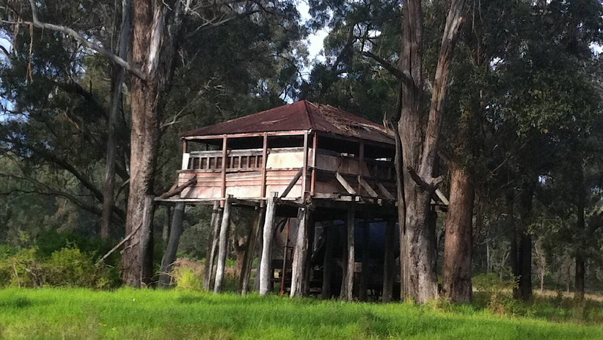 The landmark 'tree house' beside on M31 near Campbelltown that turned out to be a tank stand. Picture: Tim the Yowie Man
