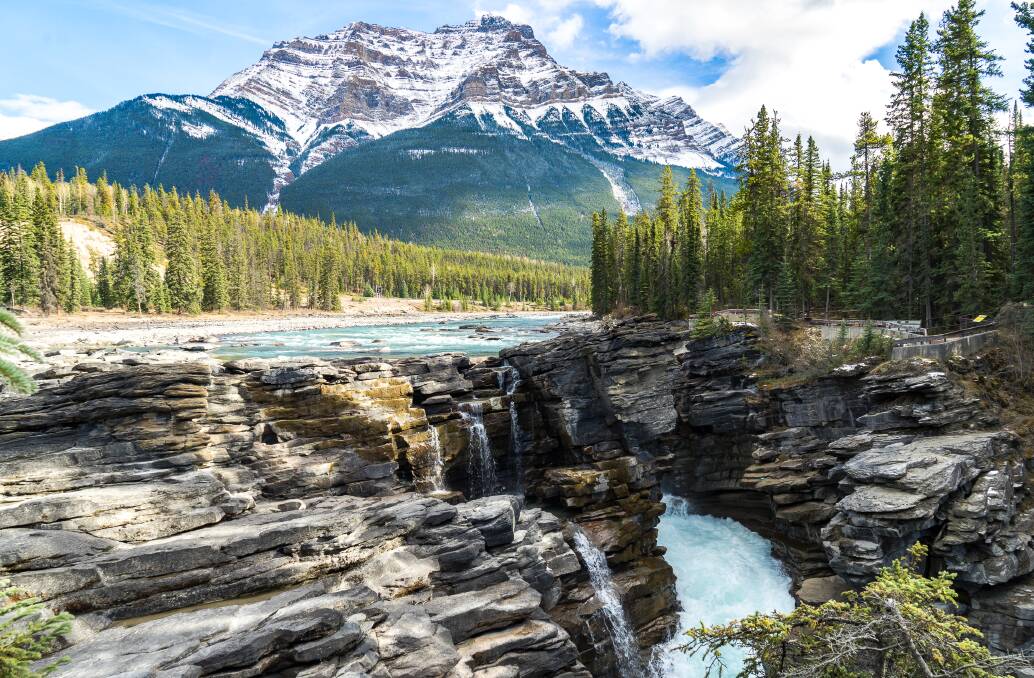  The mighty Athabasca Falls.