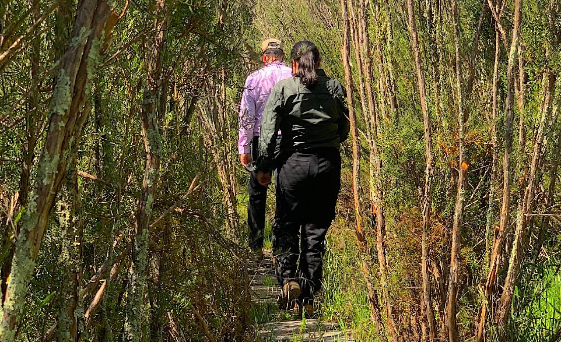 Disappearing into a thicket of tea trees. Picture: Tim the Yowie Man