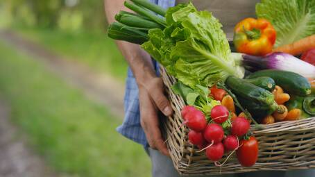 Plant some fruit and veg - they won't let you down. Picture: Shutterstock